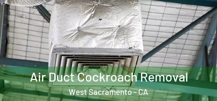 Air Duct Cockroach Removal West Sacramento - CA