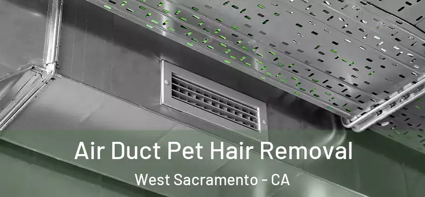 Air Duct Pet Hair Removal West Sacramento - CA