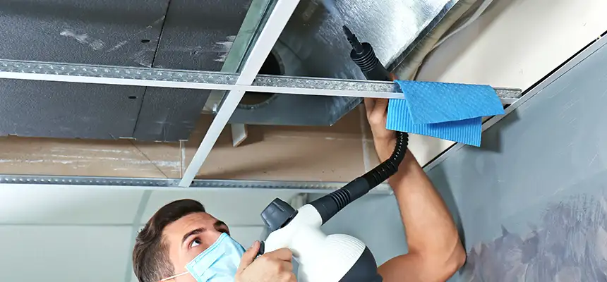 Our Air Duct Rodent Removal Services in West Sacramento, CA
