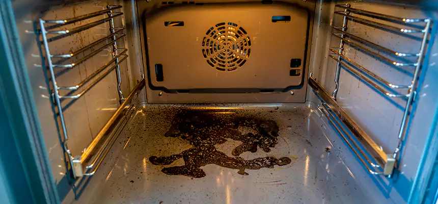 Our Dryer Vent Mold Cleaning Services in West Sacramento, CA