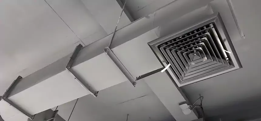 Our Pest Removal From Ducts Services in West Sacramento, CA