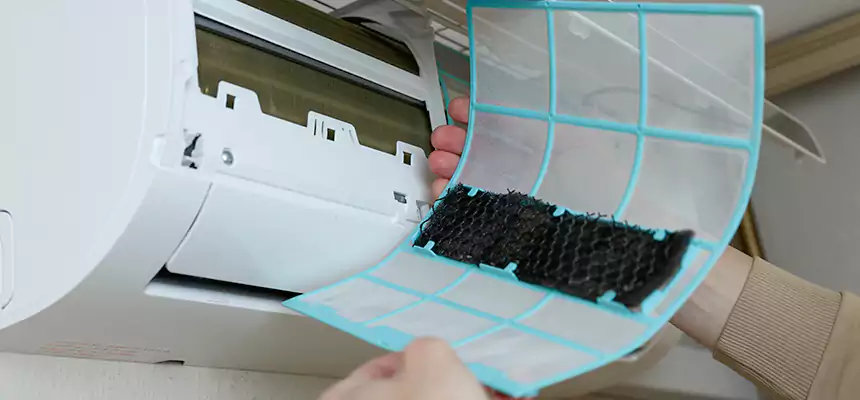 Gentle Ductwork Odor-Control Pet Dander Duct Cleaning in West Sacramento, CA