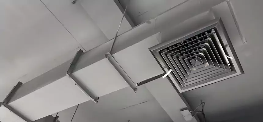 Our Rodent Droppings In Vents Services in West Sacramento, CA