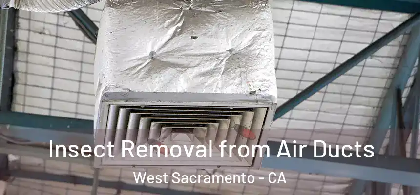  Insect Removal from Air Ducts West Sacramento - CA