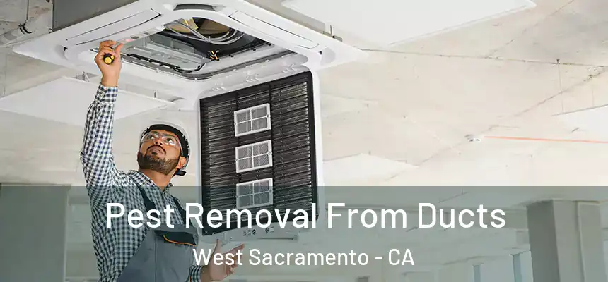 Pest Removal From Ducts West Sacramento - CA