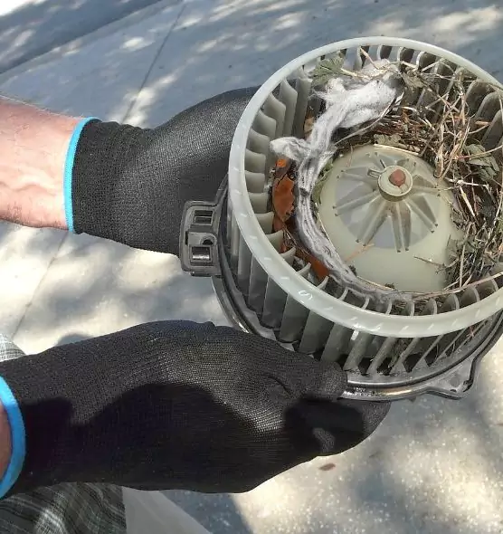 About Air Duct Mice Removal in West Sacramento, CA