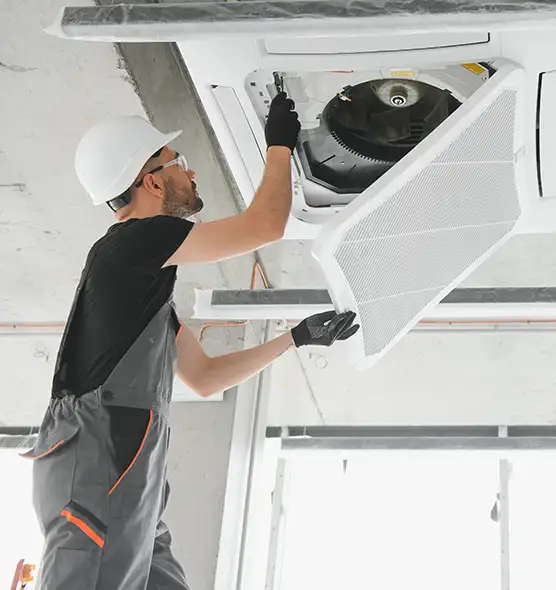 About Air Duct Rodent Removal in West Sacramento, CA