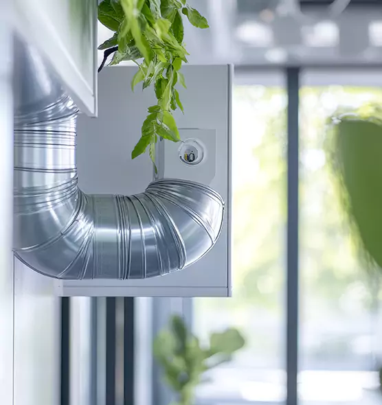 Professional Eco-Safe Dryer Vent Cleaning in West Sacramento, CA