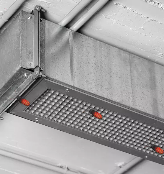 Affordable Insect Removal from Air Ducts in West Sacramento, CA