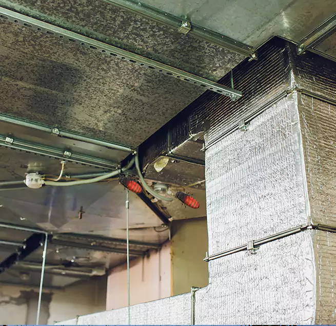 Why Homeowners & Businesses Trust Us in West Sacramento, CA?